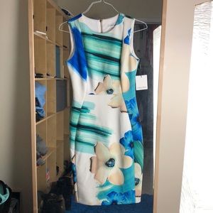 Calvin Klein Dress